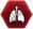 Pulmonary Embolism Icon.png