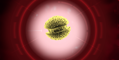 The Simian Flu model in Plague Inc: Evolved