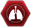Pulmonary Oedema Icon.png